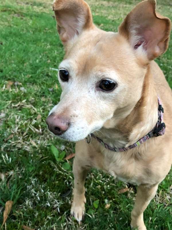 Zoey