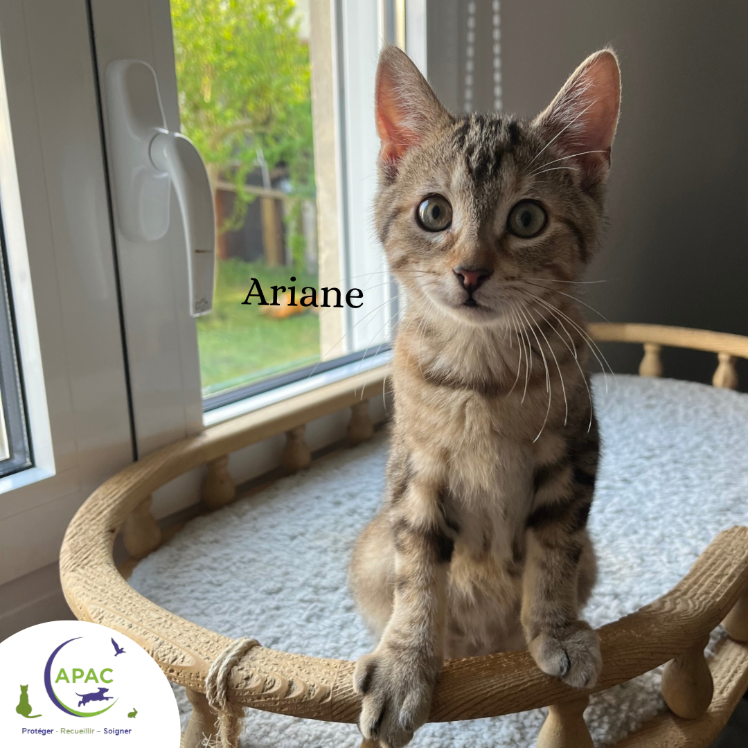Ariane