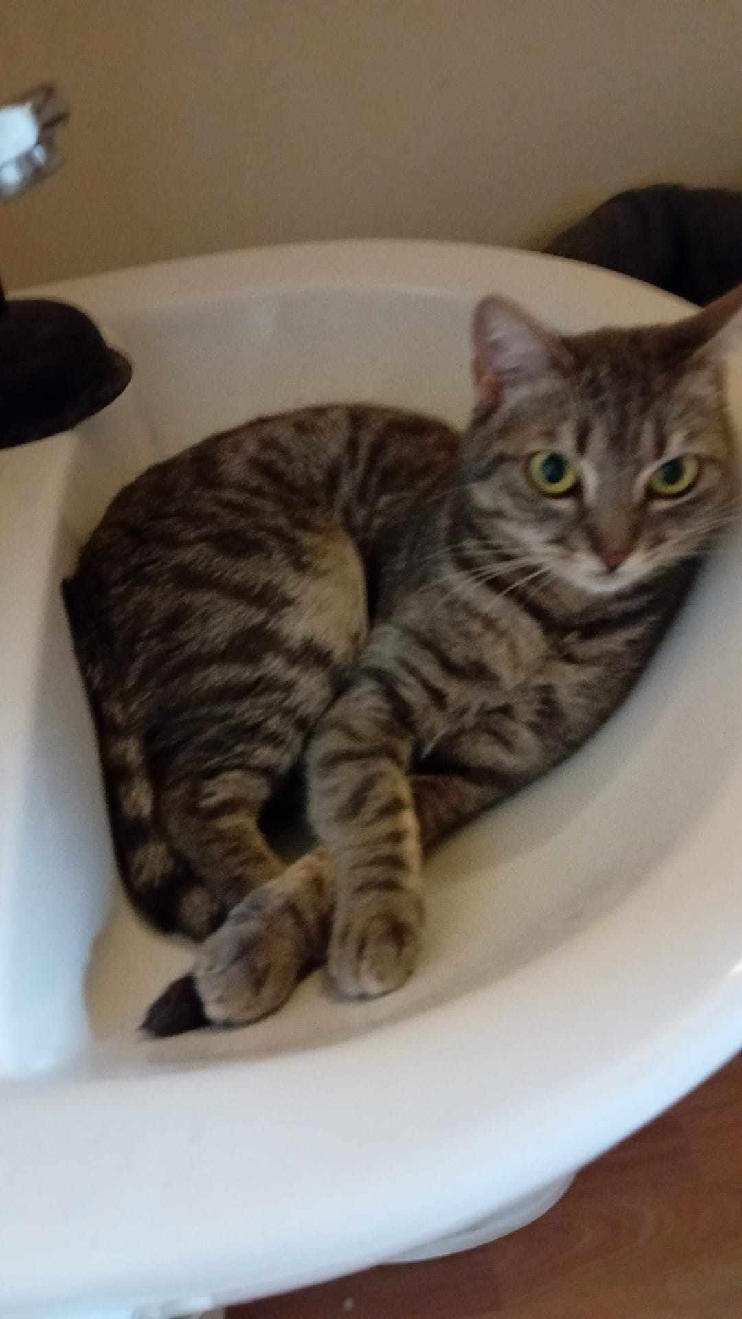 Rubi
