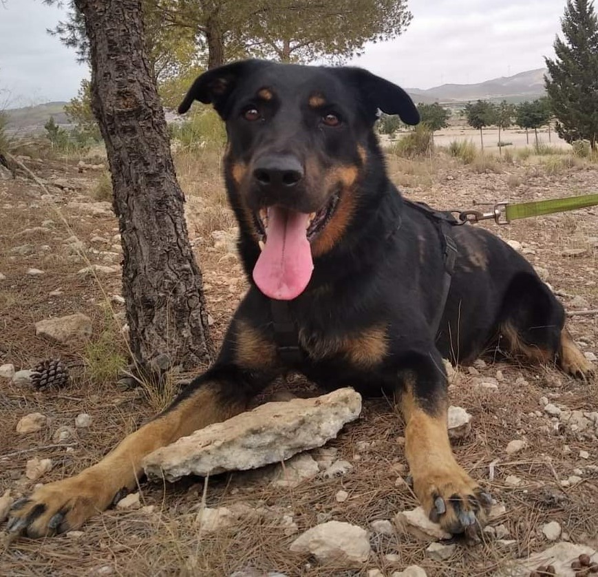 Max
