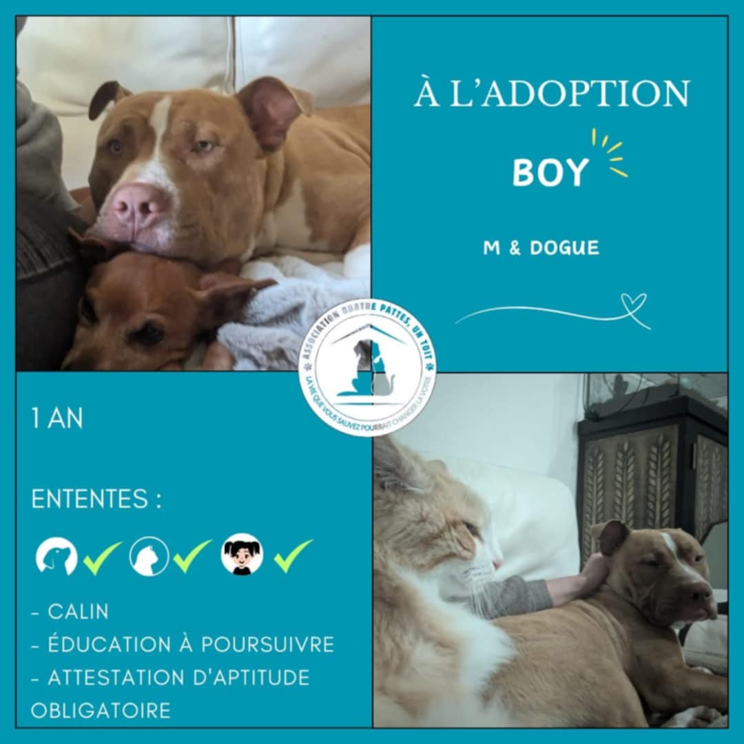 Boy