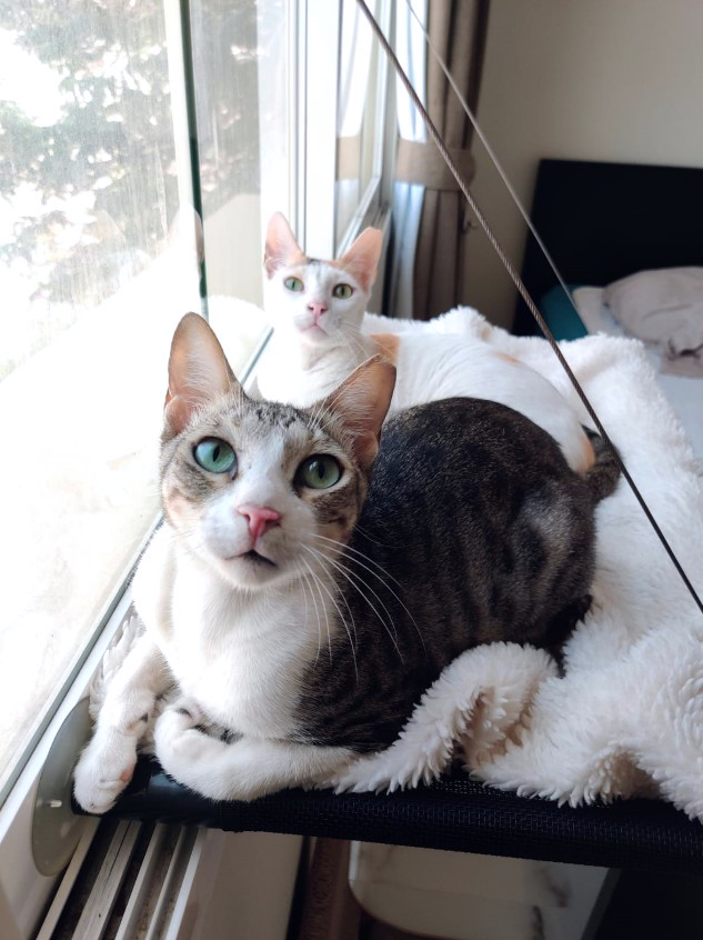 Mia & Smokey