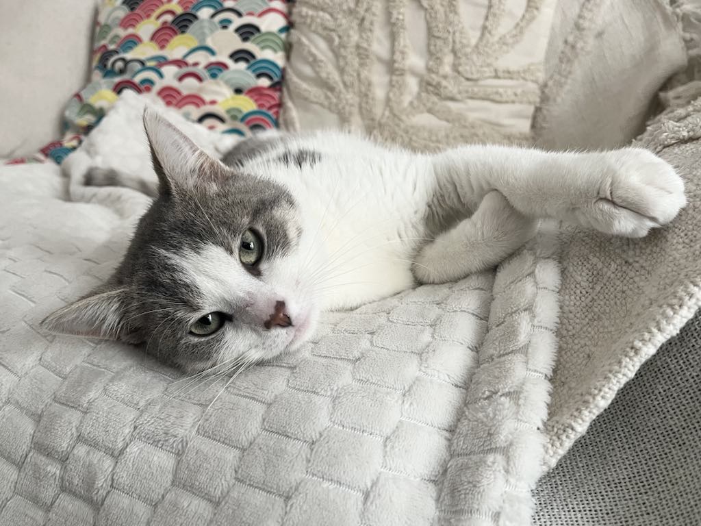 Milo