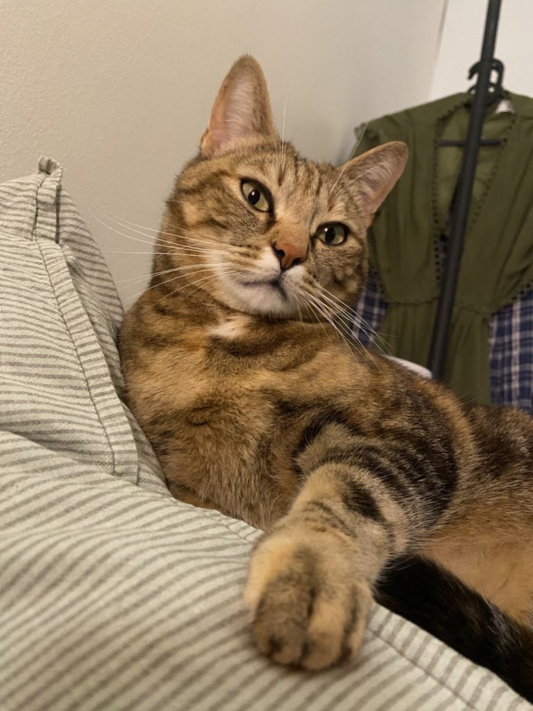 Mimi