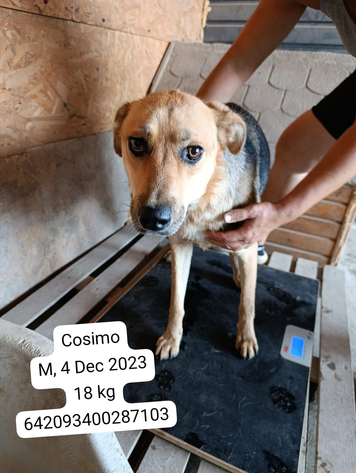 COSIMO
